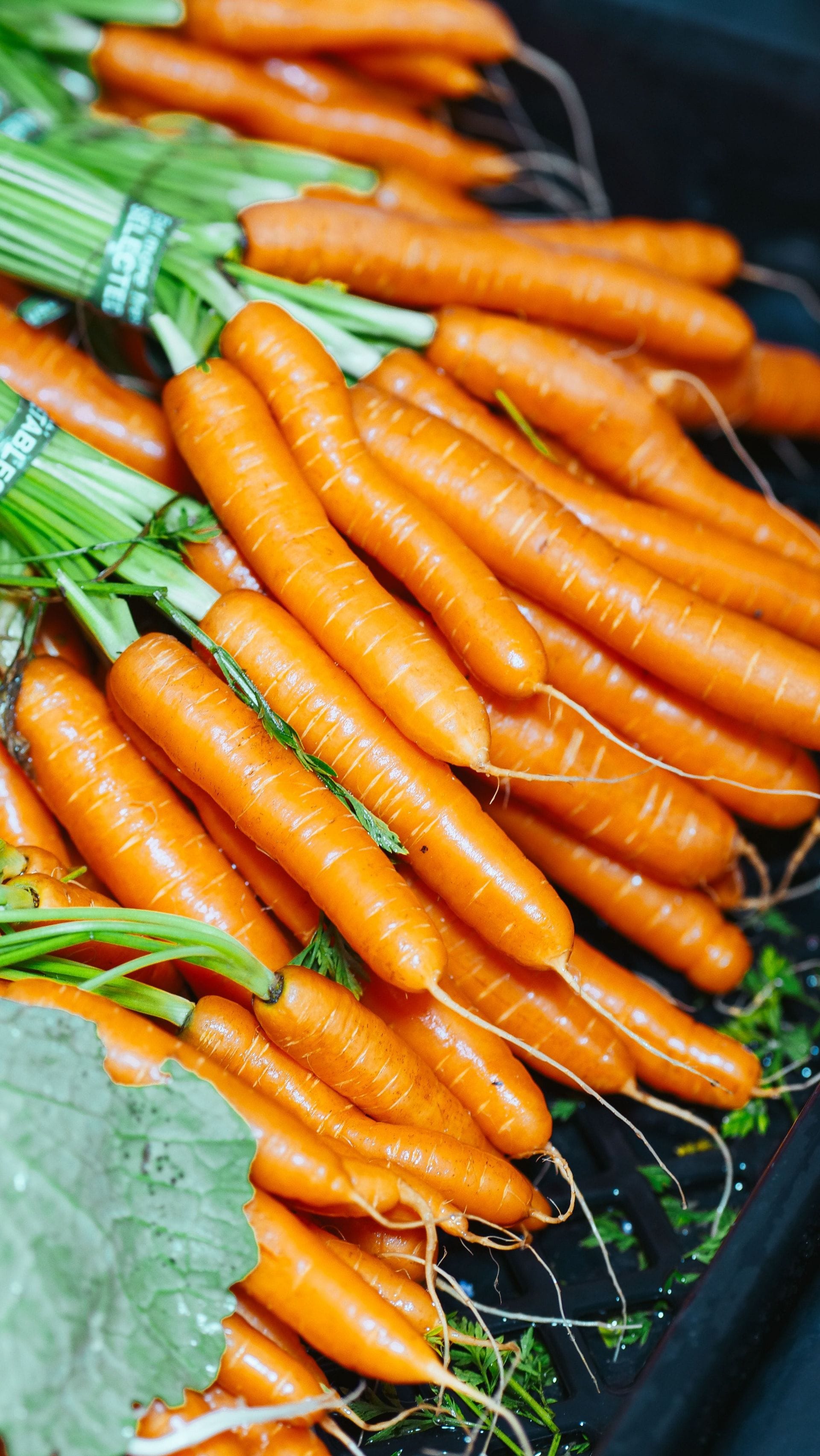 Carrots in season: Enjoying fresh and local produce