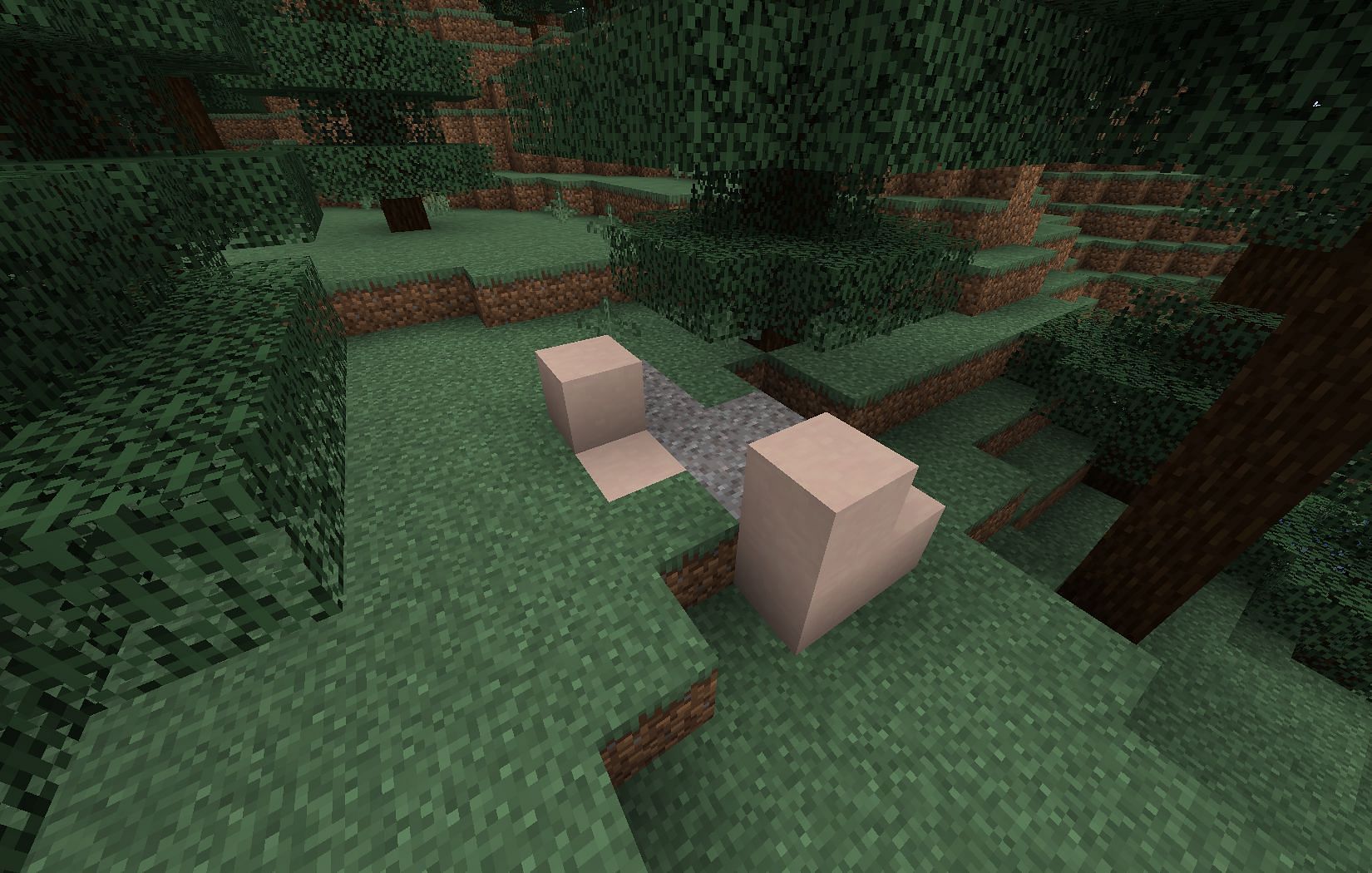 5-things-to-know-about-trail-ruins-in-minecraft-1-20