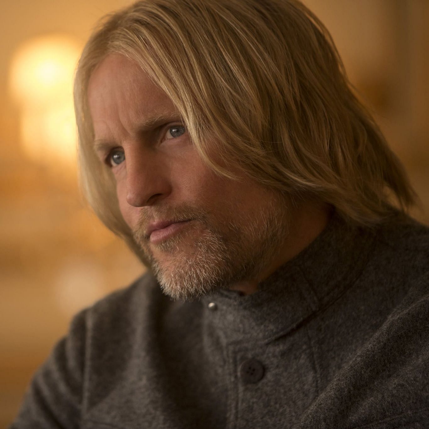 How did Haymitch win The Hunger Games?