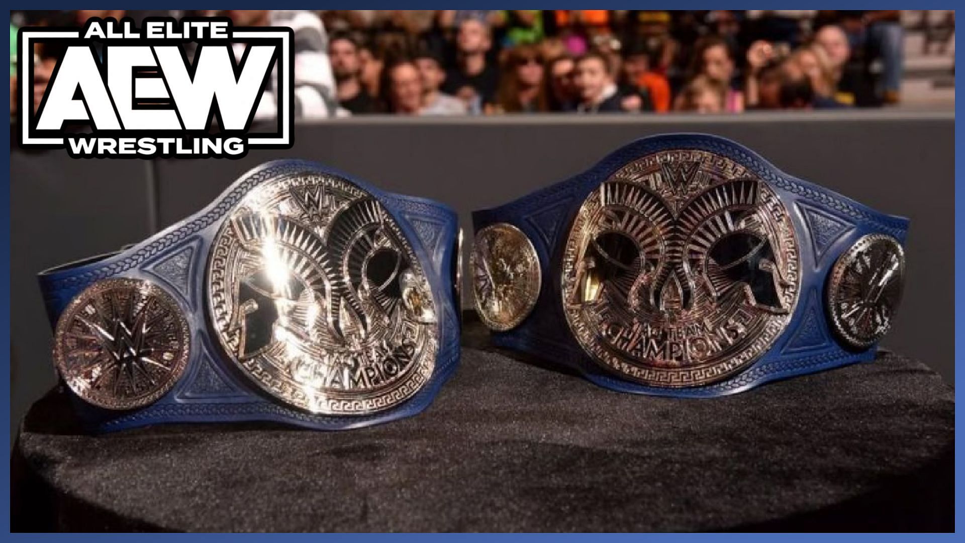 3time WWE Tag Team Champions will be done wrestling fulltime upon AEW