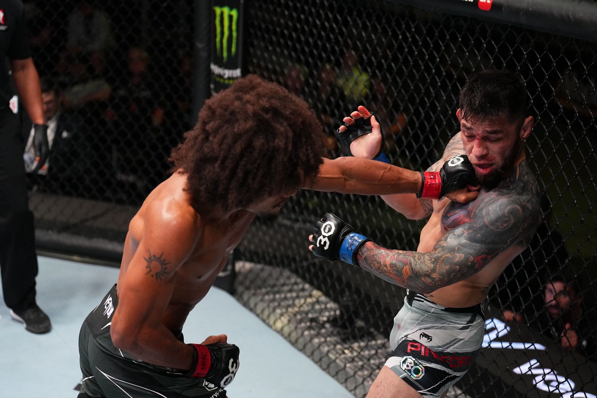 Alex Caceres vs Daniel Pineda UFC head-to-head records