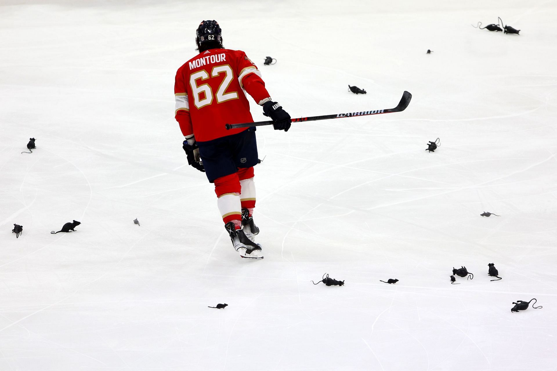 Florida Panthers Fans Ecstatic After First-ever Stanley Cup Final Win ...