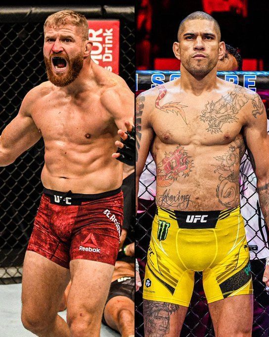 Alex Pereira sister WATCH Alex Pereira's sister Aline Pereira stuns