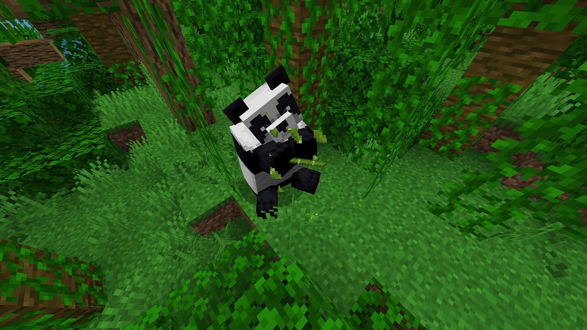 how-to-breed-pandas-in-minecraft-easily