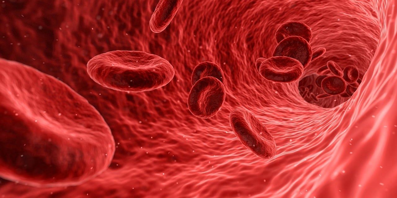 Enter captionManaging Thalassemia Symptoms. (Image via Pexels)