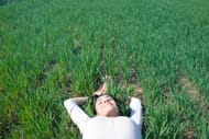 less distractions (Image via Pexels / Andrea Piacquadio)