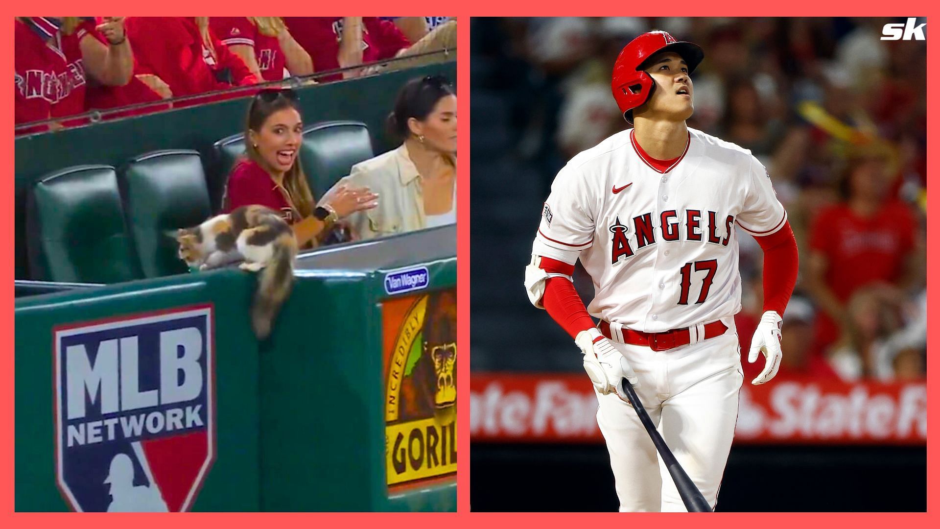 MLB Twitter in splits as cat runs through the seats during Angels vs D-backs game: 