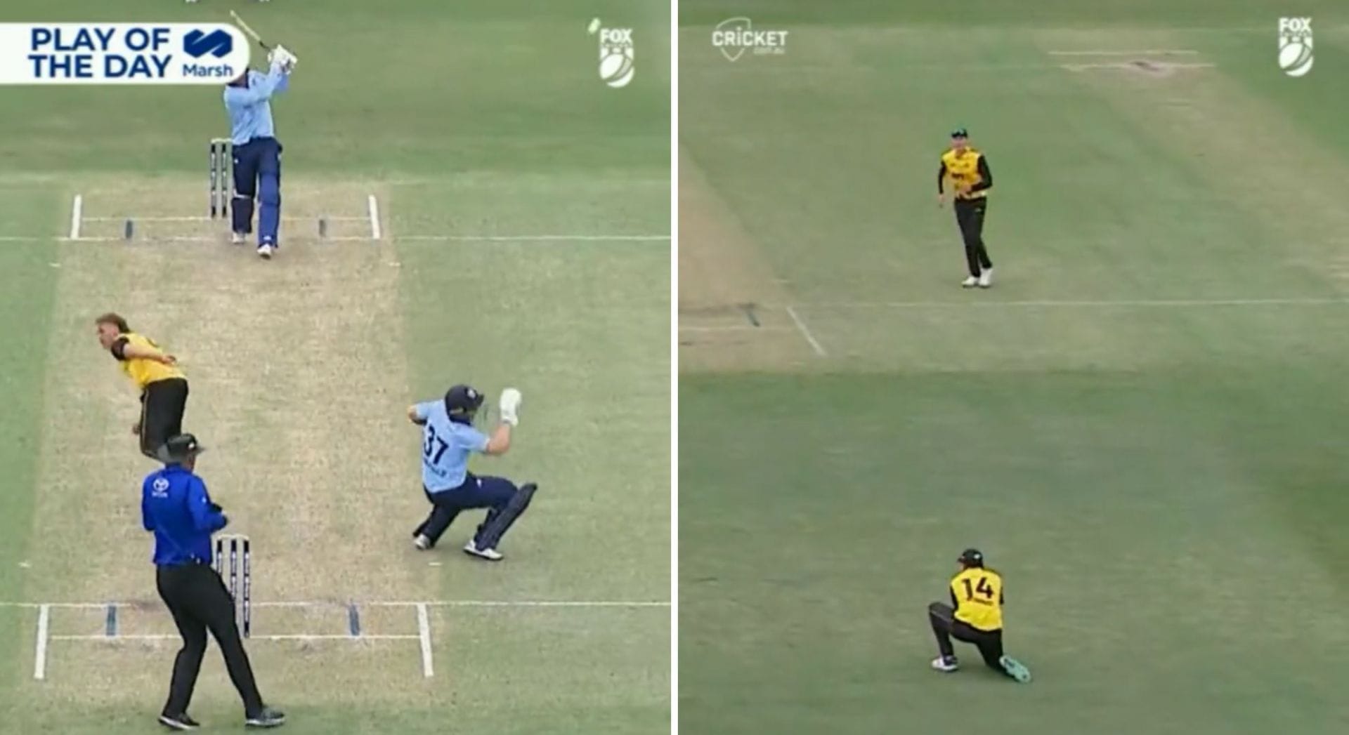 [Watch] New South Wales captain Moises Henriques gets out in the most bizarre way possible in the 2023 Marsh Cup