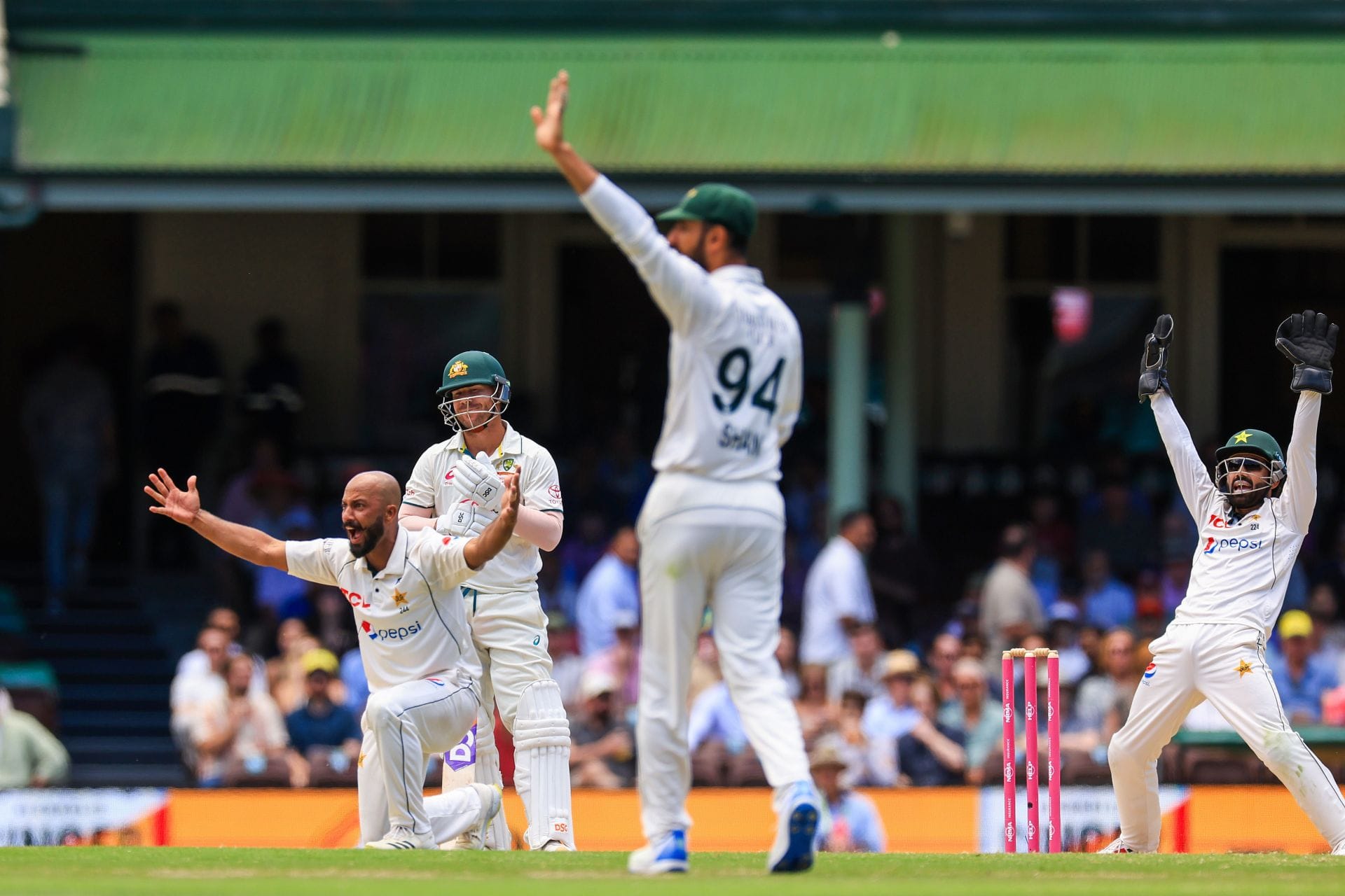 &ldquo;Test cricket is an endangered species, pace of play is abysmal&rdquo; - Ian Chappell