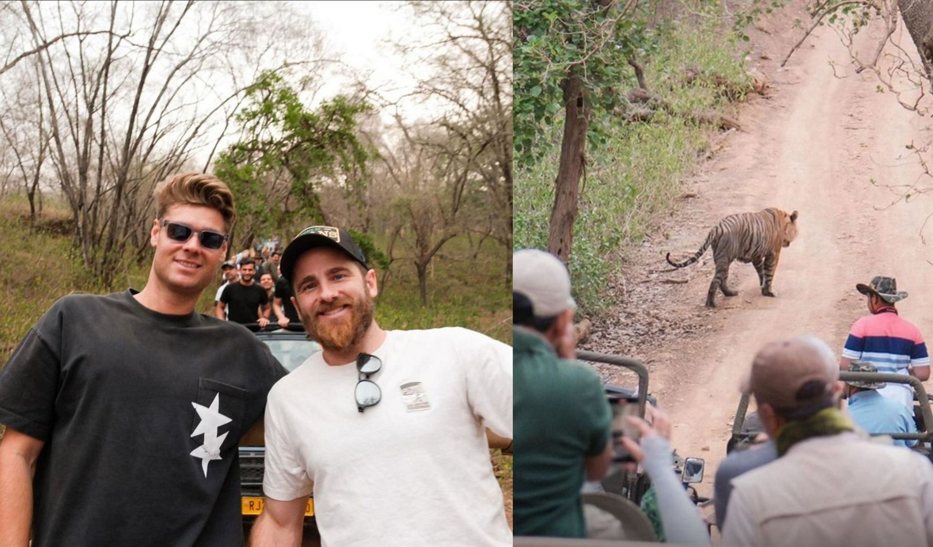 [In Pictures] Kane Williamson visits Ranthambore National Park along with GT teammates