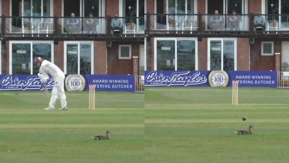[Watch] Duck ducks a ball in England's County Championship match