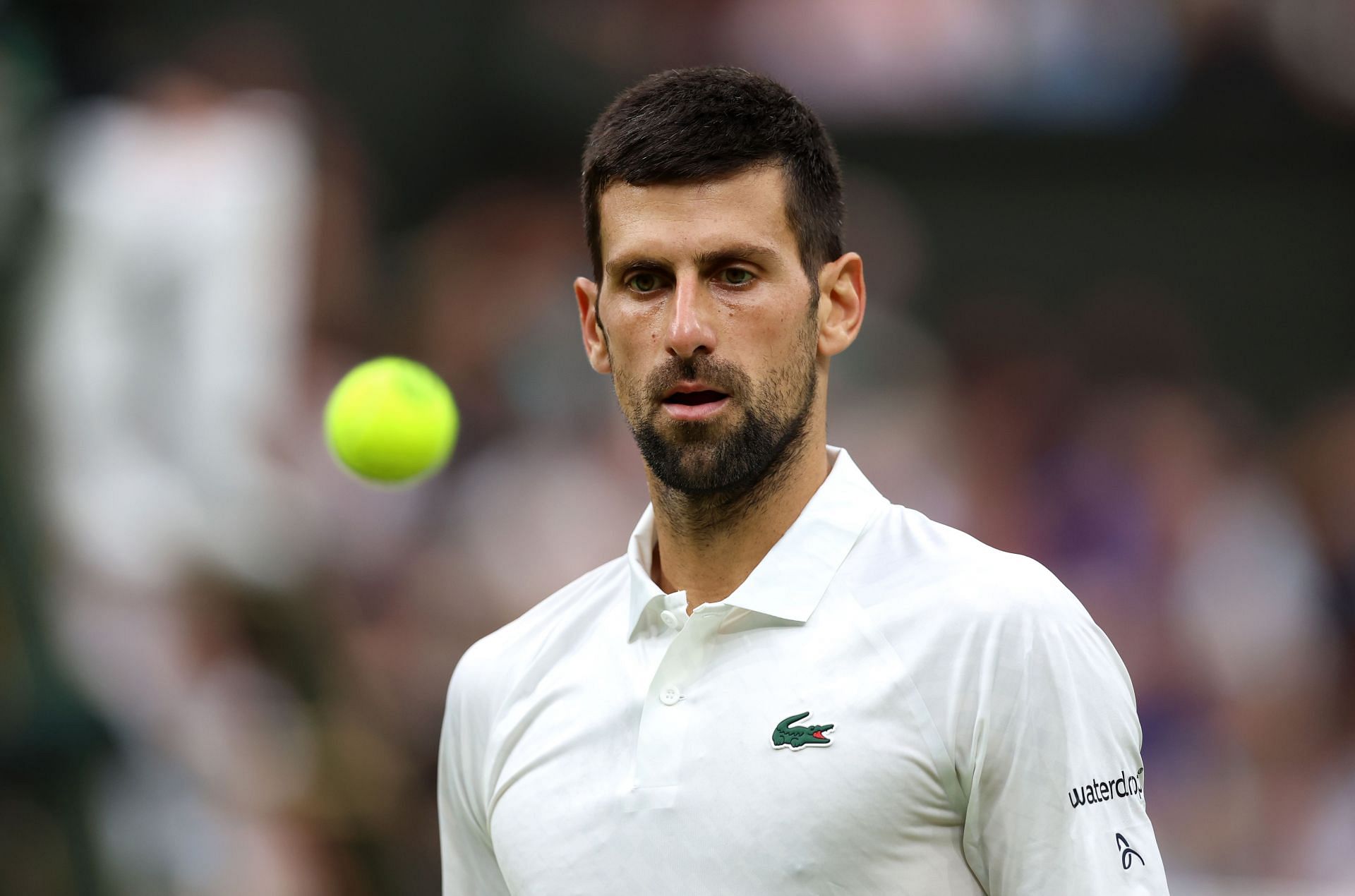 What is a walkover in tennis? How many walkovers happened at Wimbledon 2024 including the one Novak Djokovic got? All you need to know