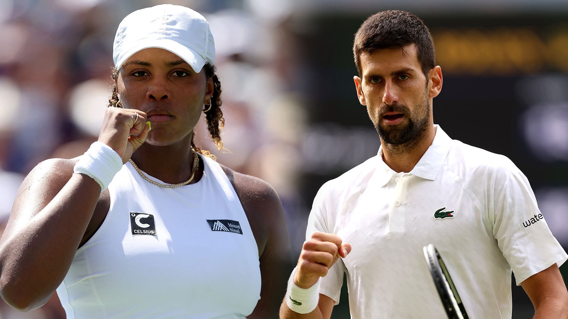 5 most endearing stories to come out of Wimbledon 2024 ft. Taylor Townsend's triumph against all odds, Novak Djokovic battling Father Time