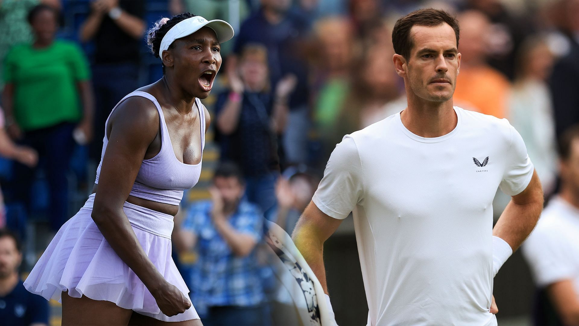 Is it right to rank Venus Williams' career achievements below Andy Murray's? Everything to know about the new list that has stirred up controversy