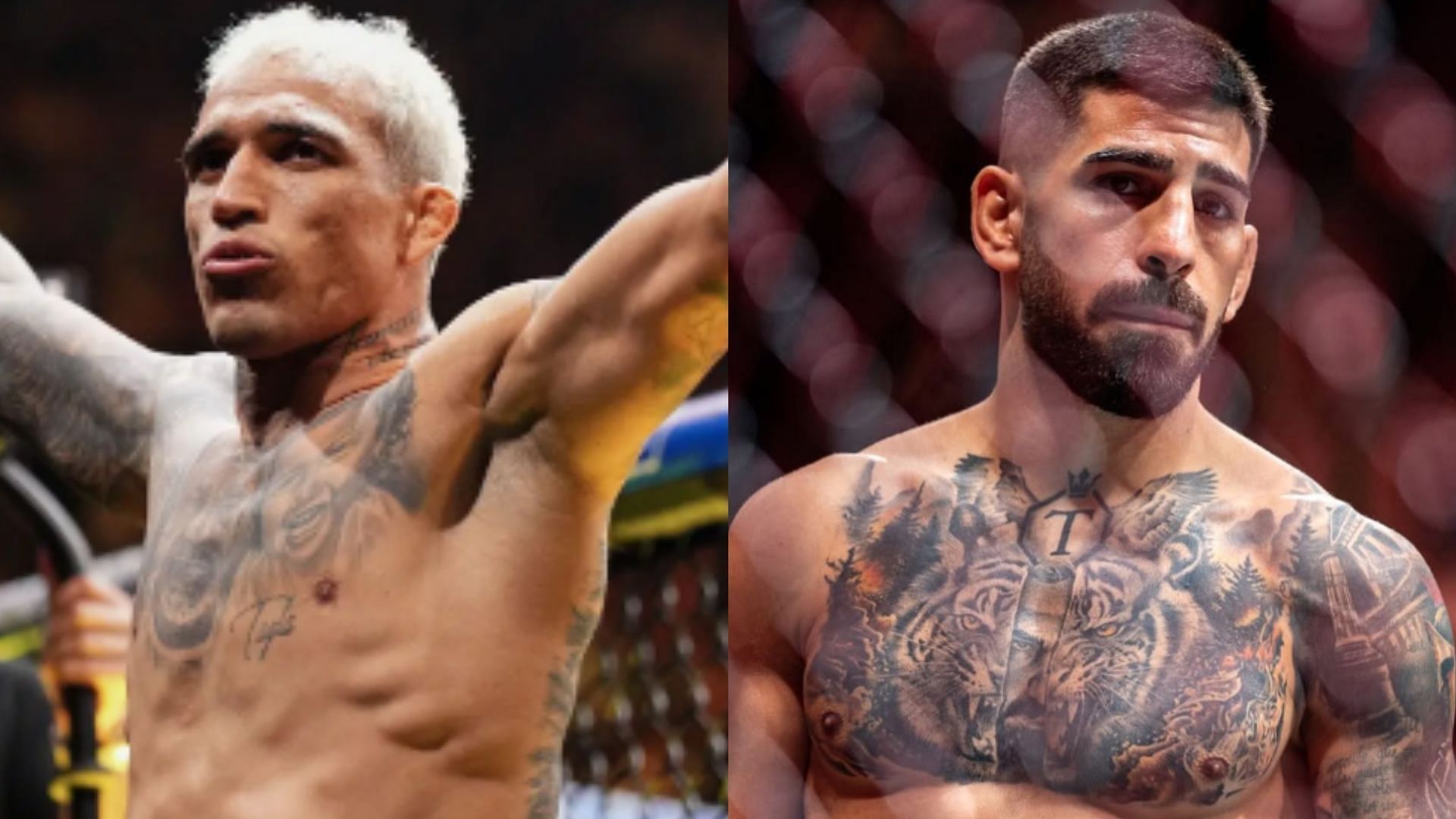  MMA News Roundup