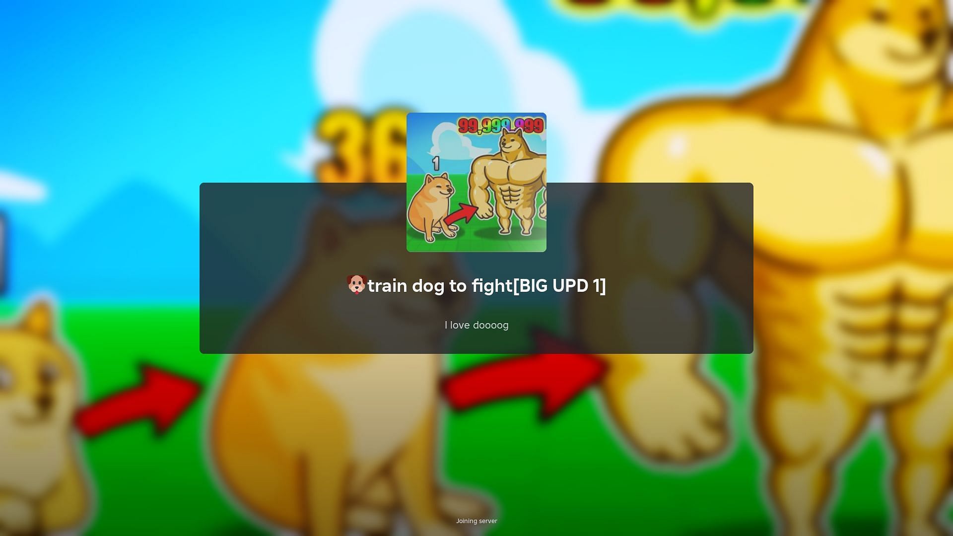 Train Dog to Fight: A beginners guide