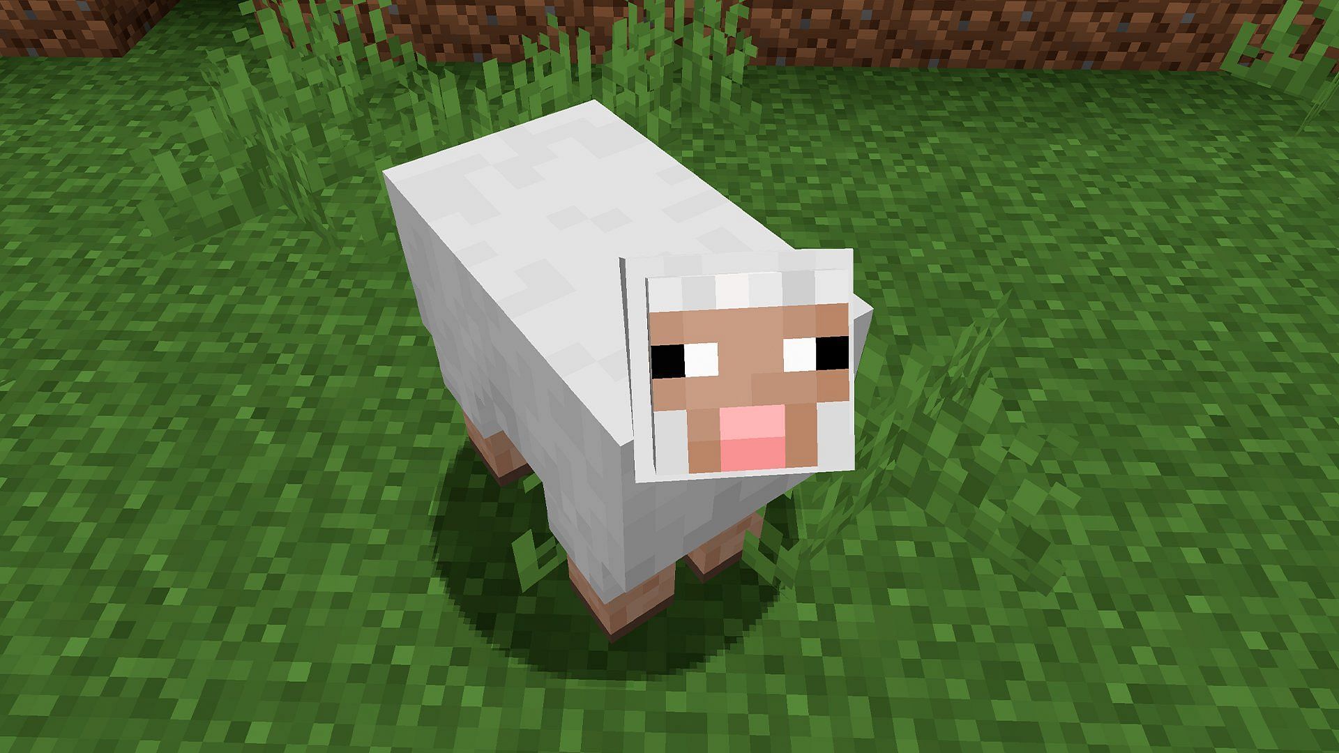 Minecraft community shares its hottest takes about the game