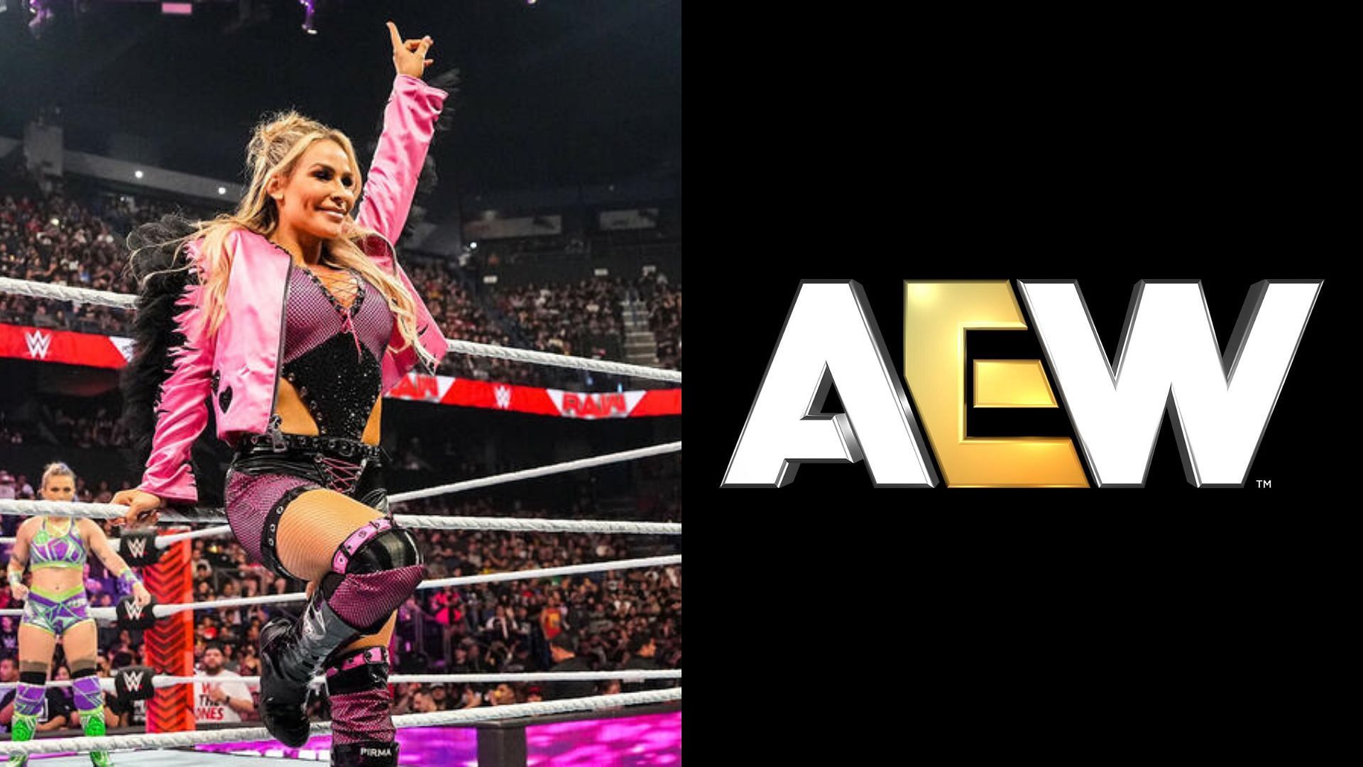 Natalya sends a message for new AEW star who blatantly rejected WWEs tryout offer